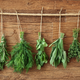 Photo via Shutterstock
